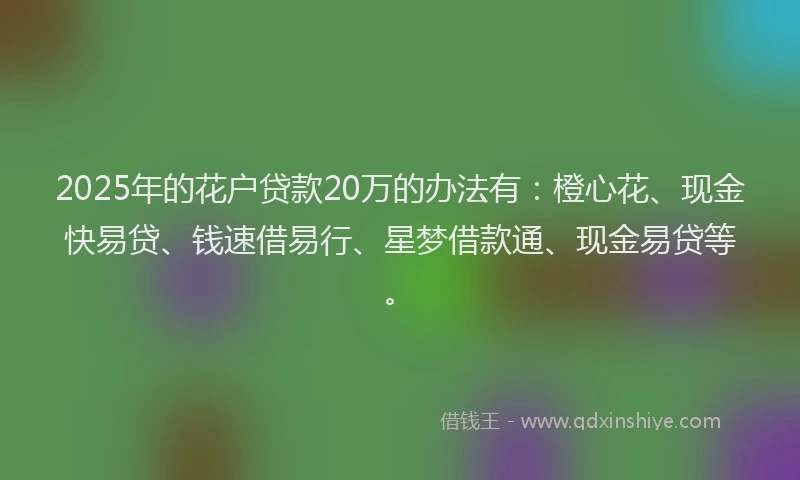 2025年的花户贷款20万的办法有：橙心花、现金快易贷、钱速借易行、星梦借款通、现金易贷等。