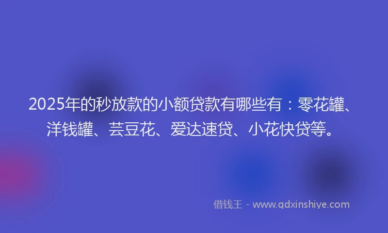 2025年的秒放款的小额贷款有哪些有：零花罐、洋钱罐、芸豆花、爱达速贷、小花快贷等。
