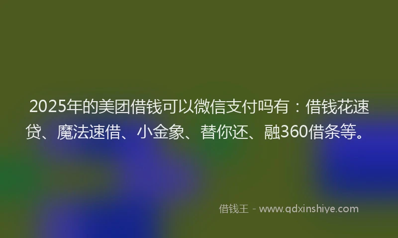 2025年的美团借钱可以微信支付吗有：借钱花速贷、魔法速借、小金象、替你还、融360借条等。