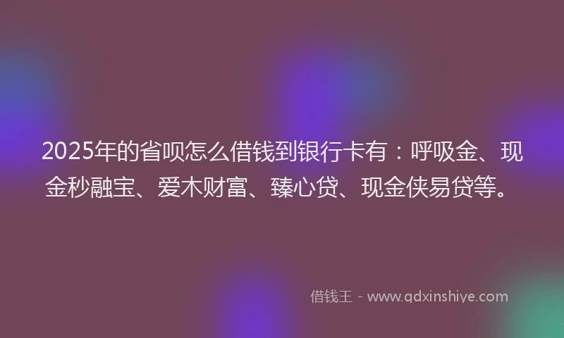 2025年的省呗怎么借钱到银行卡有：呼吸金、现金秒融宝、爱木财富、臻心贷、现金侠易贷等。