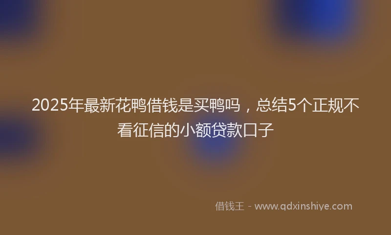 2025年最新花鸭借钱是买鸭吗，总结5个正规不看征信的小额贷款口子