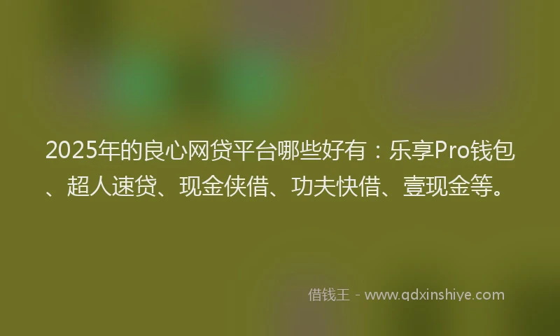 2025年的良心网贷平台哪些好有：乐享Pro钱包、超人速贷、现金侠借、功夫快借、壹现金等。