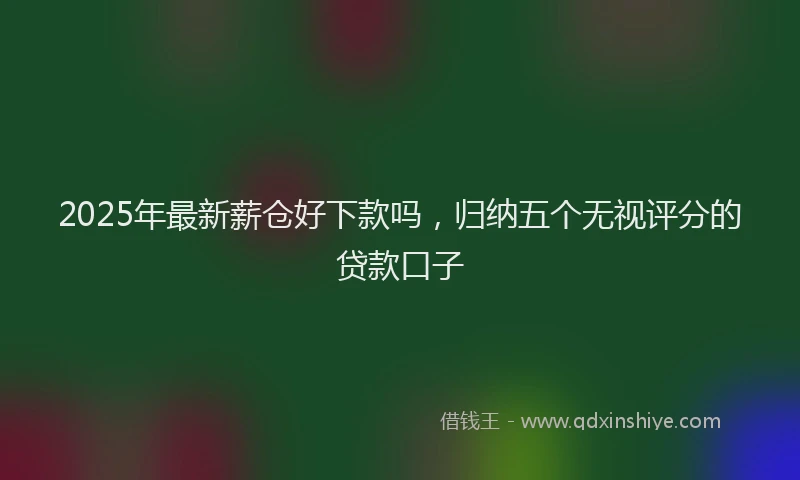 2025年最新薪仓好下款吗，归纳五个无视评分的贷款口子