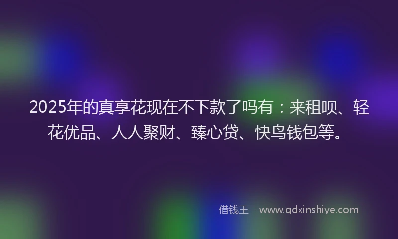2025年的真享花现在不下款了吗有：来租呗、轻花优品、人人聚财、臻心贷、快鸟钱包等。