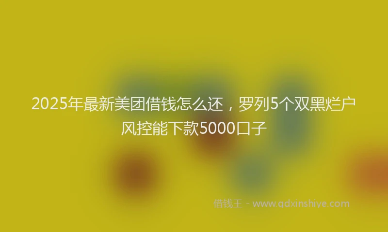 2025年最新美团借钱怎么还，罗列5个双黑烂户风控能下款5000口子