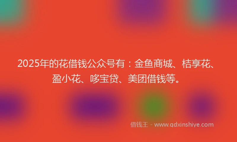 2025年的花借钱公众号有：金鱼商城、桔享花、盈小花、哆宝贷、美团借钱等。