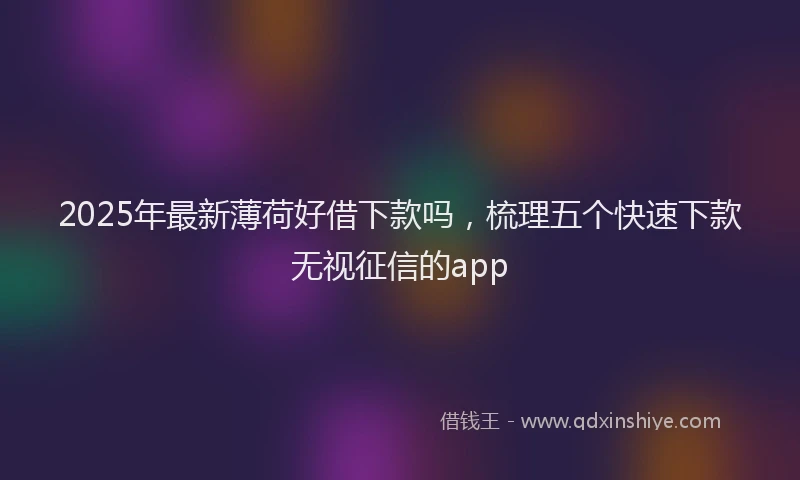 2025年最新薄荷好借下款吗，梳理五个快速下款无视征信的app