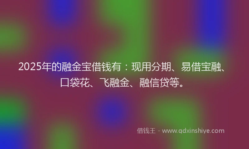 2025年的融金宝借钱有：现用分期、易借宝融、口袋花、飞融金、融信贷等。