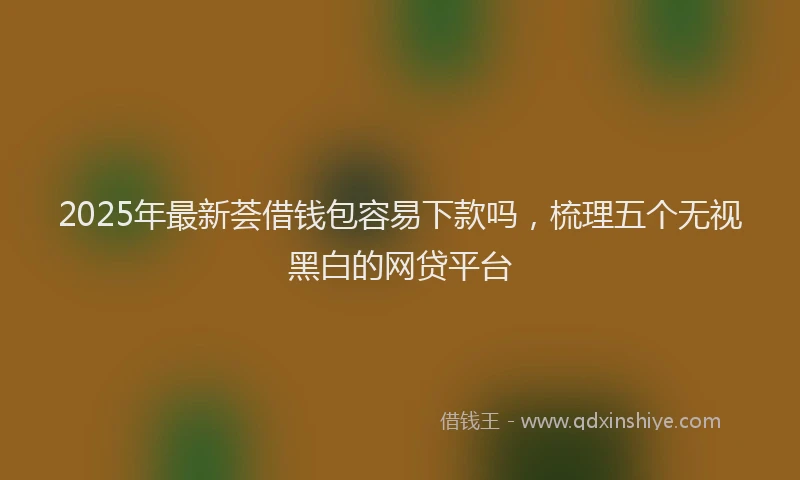 2025年最新荟借钱包容易下款吗，梳理五个无视黑白的网贷平台