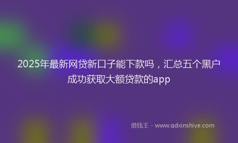 2025年最新网贷新口子能下款吗，汇总五个黑户成功获取大额贷款的app