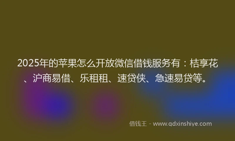 2025年的苹果怎么开放微信借钱服务有：桔享花、沪商易借、乐租租、速贷侠、急速易贷等。