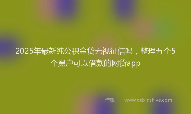 2025年最新纯公积金贷无视征信吗，整理五个5个黑户可以借款的网贷app
