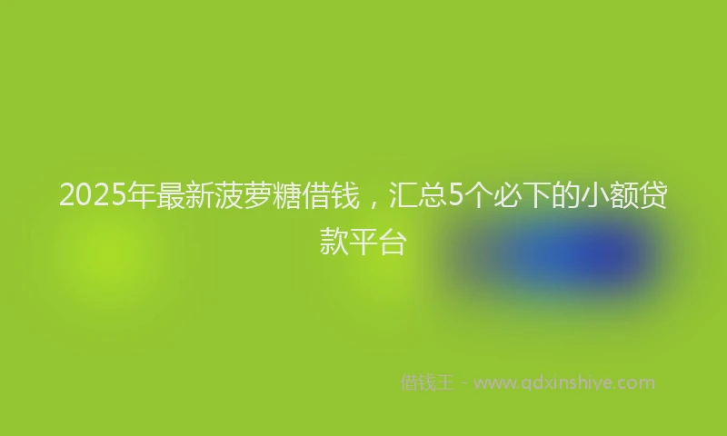 2025年最新菠萝糖借钱，汇总5个必下的小额贷款平台