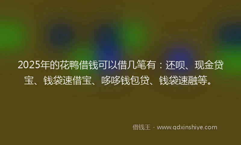 2025年的花鸭借钱可以借几笔有：还呗、现金贷宝、钱袋速借宝、哆哆钱包贷、钱袋速融等。