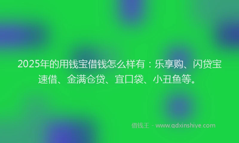 2025年的用钱宝借钱怎么样有：乐享购、闪贷宝速借、金满仓贷、宜口袋、小丑鱼等。