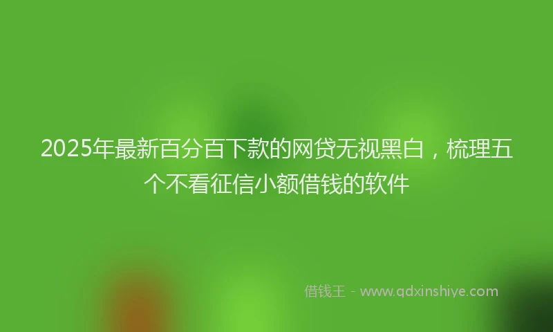 2025年最新百分百下款的网贷无视黑白，梳理五个不看征信小额借钱的软件