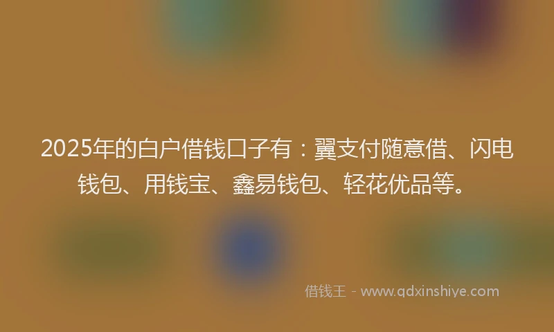 2025年的白户借钱口子有：翼支付随意借、闪电钱包、用钱宝、鑫易钱包、轻花优品等。