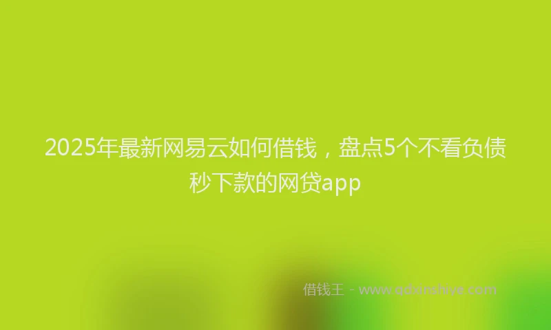 2025年最新网易云如何借钱，盘点5个不看负债秒下款的网贷app