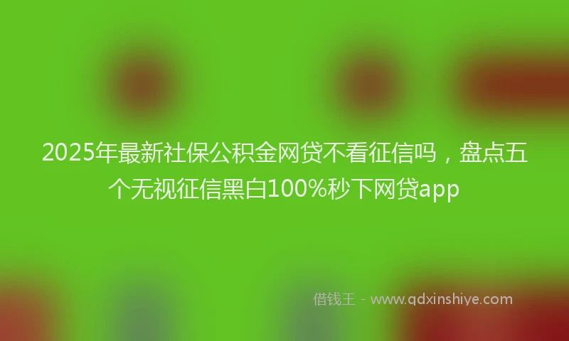2025年最新社保公积金网贷不看征信吗，盘点五个无视征信黑白100%秒下网贷app