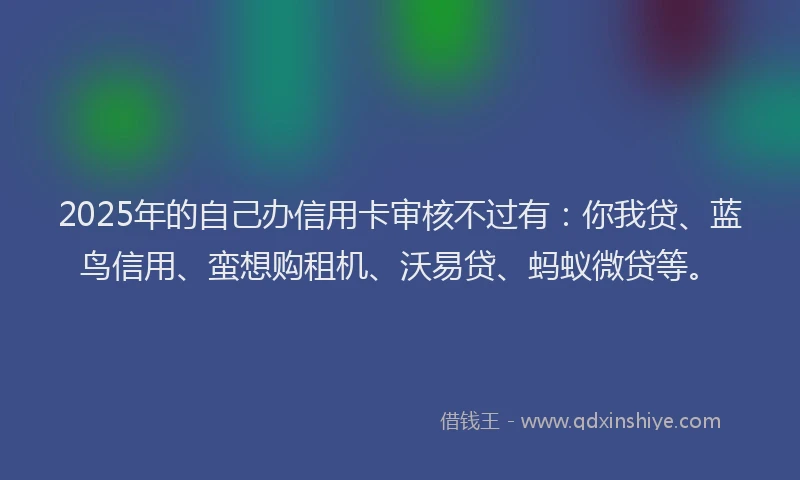 2025年的自己办信用卡审核不过有：你我贷、蓝鸟信用、蛮想购租机、沃易贷、蚂蚁微贷等。