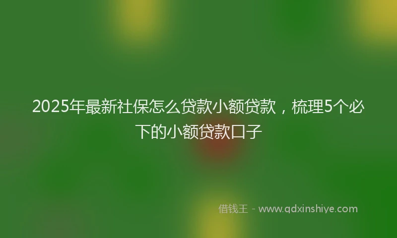 2025年最新社保怎么贷款小额贷款，梳理5个必下的小额贷款口子