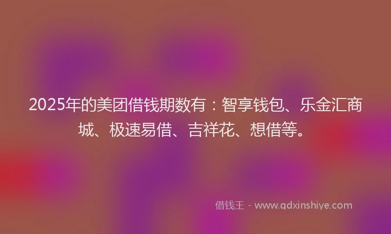 2025年的美团借钱期数有：智享钱包、乐金汇商城、极速易借、吉祥花、想借等。