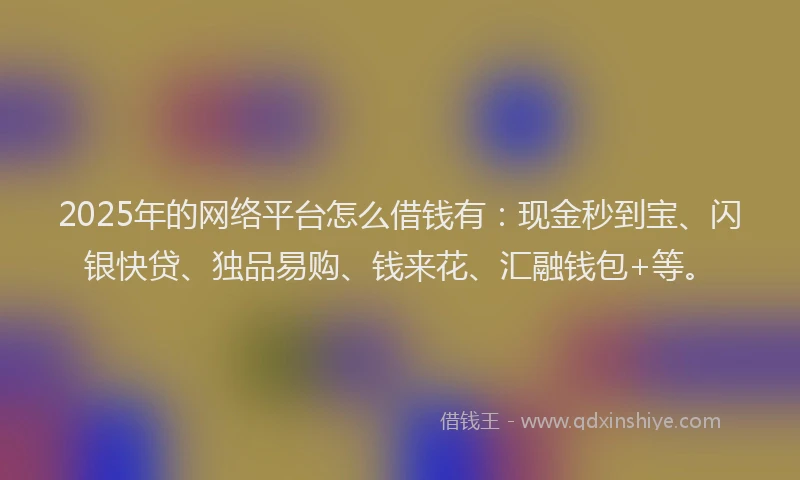 2025年的网络平台怎么借钱有：现金秒到宝、闪银快贷、独品易购、钱来花、汇融钱包+等。