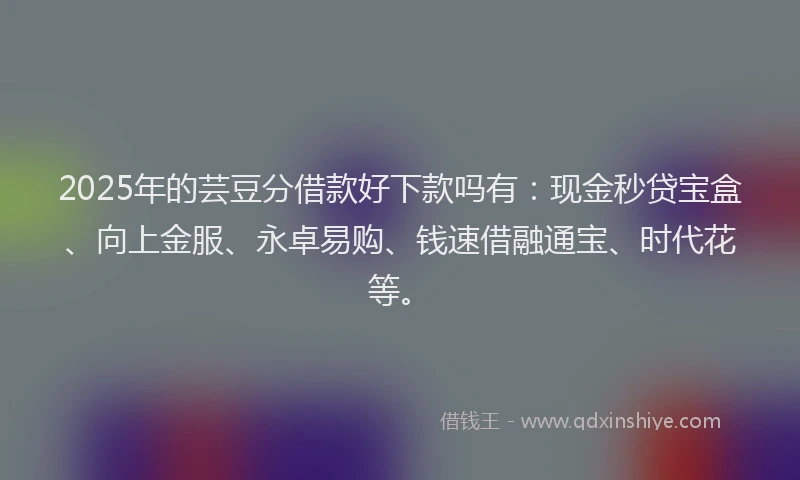 2025年的芸豆分借款好下款吗有：现金秒贷宝盒、向上金服、永卓易购、钱速借融通宝、时代花等。
