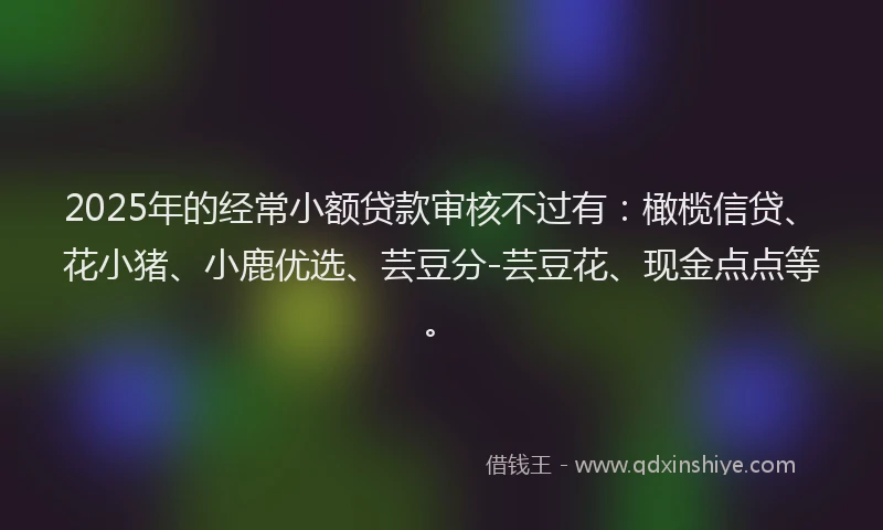 2025年的经常小额贷款审核不过有：橄榄信贷、花小猪、小鹿优选、芸豆分-芸豆花、现金点点等。