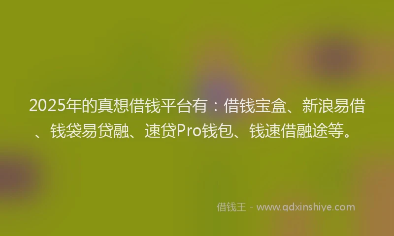 2025年的真想借钱平台有：借钱宝盒、新浪易借、钱袋易贷融、速贷Pro钱包、钱速借融途等。
