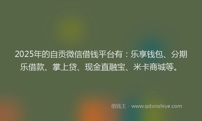 2025年的自贡微信借钱平台有：乐享钱包、分期乐借款、掌上贷、现金直融宝、米卡商城等。