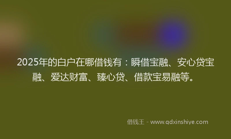 2025年的白户在哪借钱有：瞬借宝融、安心贷宝融、爱达财富、臻心贷、借款宝易融等。