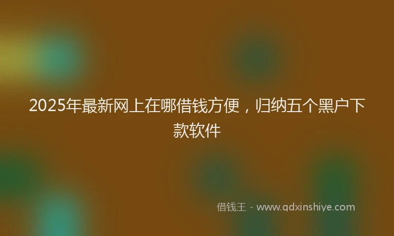 2025年最新网上在哪借钱方便，归纳五个黑户下款软件