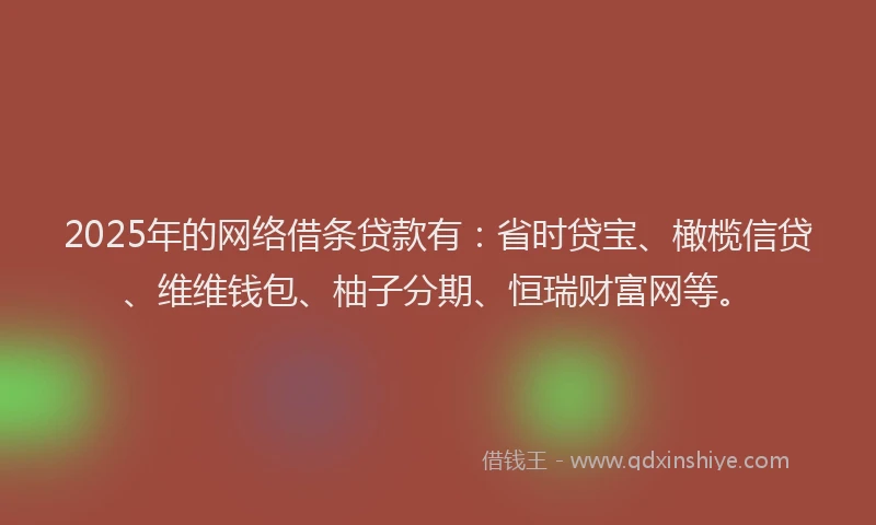 2025年的网络借条贷款有：省时贷宝、橄榄信贷、维维钱包、柚子分期、恒瑞财富网等。