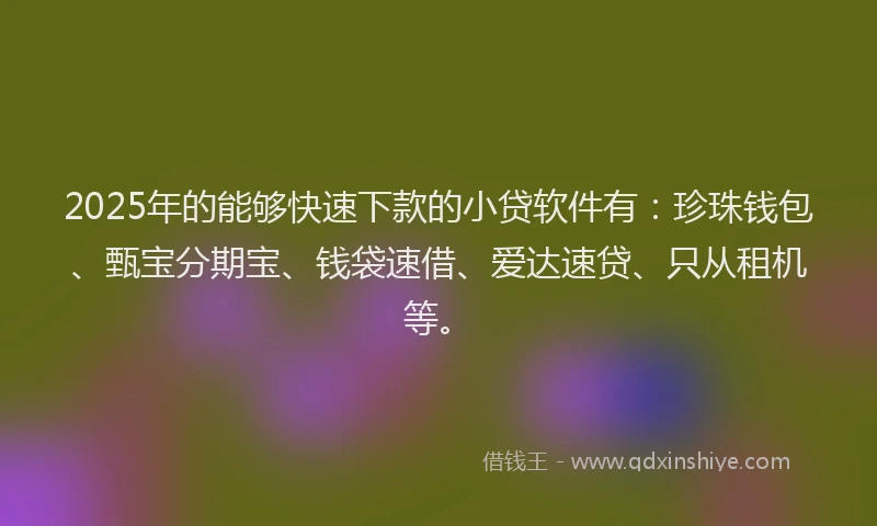 2025年的能够快速下款的小贷软件有：珍珠钱包、甄宝分期宝、钱袋速借、爱达速贷、只从租机等。