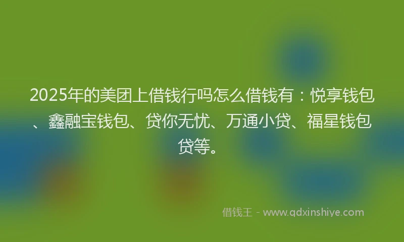 2025年的美团上借钱行吗怎么借钱有：悦享钱包、鑫融宝钱包、贷你无忧、万通小贷、福星钱包贷等。