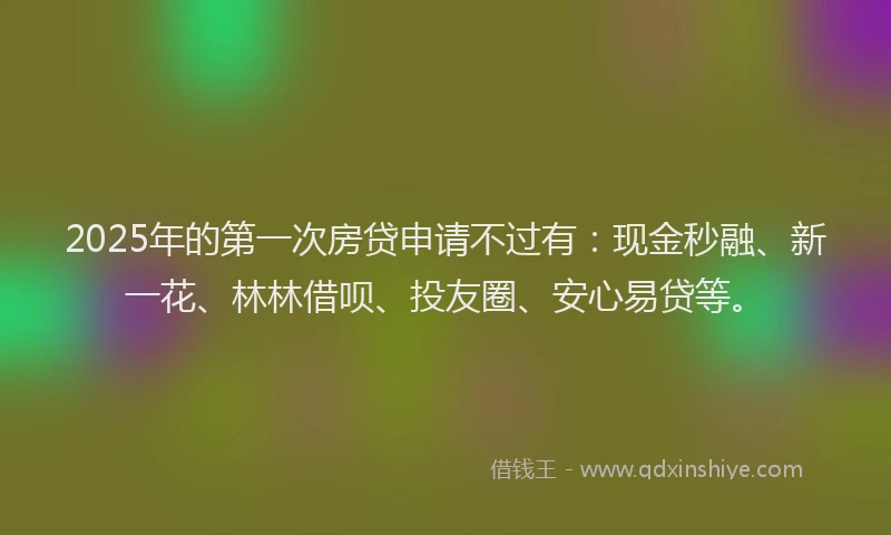 2025年的第一次房贷申请不过有：现金秒融、新一花、林林借呗、投友圈、安心易贷等。