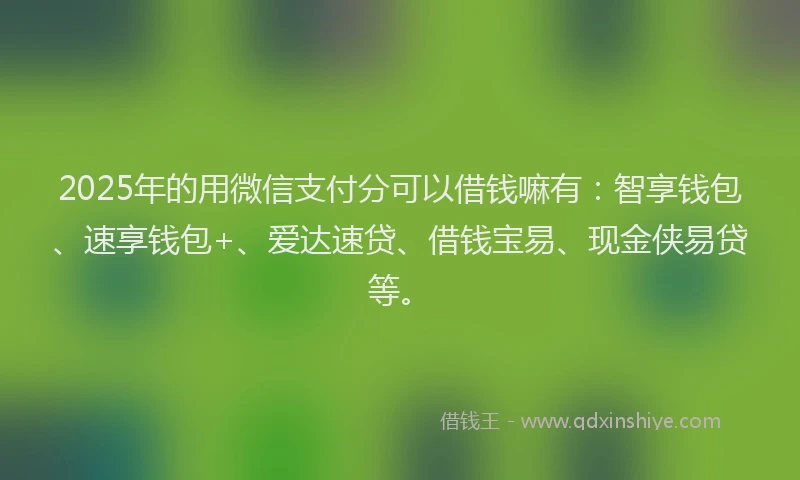 2025年的用微信支付分可以借钱嘛有：智享钱包、速享钱包+、爱达速贷、借钱宝易、现金侠易贷等。