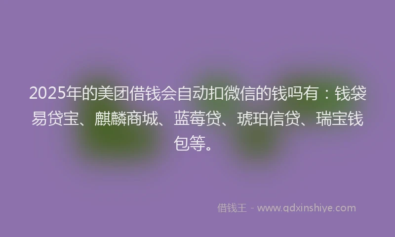 2025年的美团借钱会自动扣微信的钱吗有：钱袋易贷宝、麒麟商城、蓝莓贷、琥珀信贷、瑞宝钱包等。