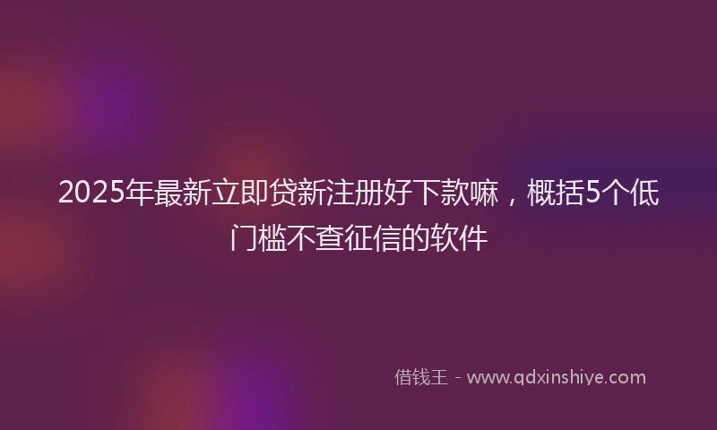 2025年最新立即贷新注册好下款嘛，概括5个低门槛不查征信的软件