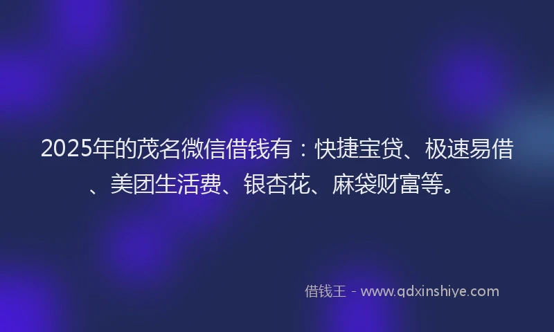 2025年的茂名微信借钱有：快捷宝贷、极速易借、美团生活费、银杏花、麻袋财富等。