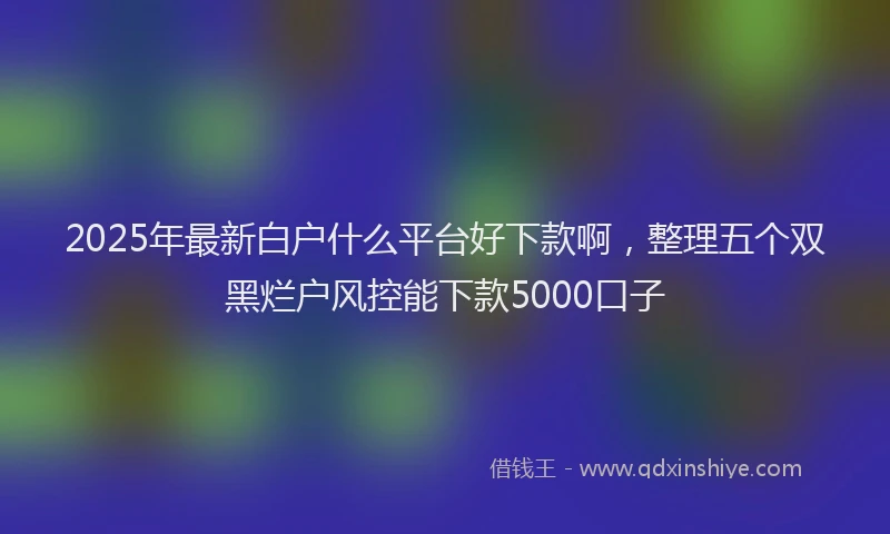 2025年最新白户什么平台好下款啊，整理五个双黑烂户风控能下款5000口子