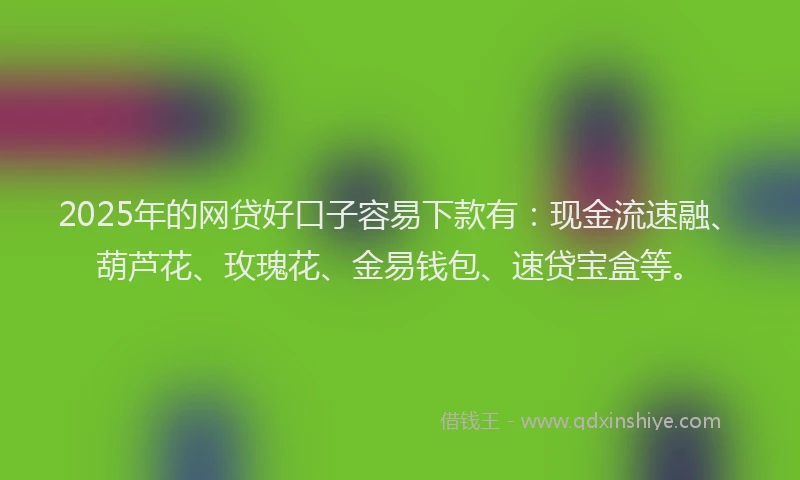 2025年的网贷好口子容易下款有：现金流速融、葫芦花、玫瑰花、金易钱包、速贷宝盒等。