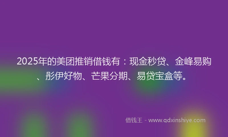 2025年的美团推销借钱有：现金秒贷、金峰易购、彤伊好物、芒果分期、易贷宝盒等。