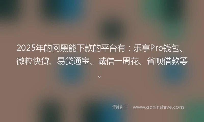 2025年的网黑能下款的平台有：乐享Pro钱包、微粒快贷、易贷通宝、诚信一周花、省呗借款等。