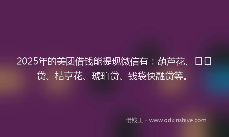 2025年的美团借钱能提现微信有：葫芦花、日日贷、桔享花、琥珀贷、钱袋快融贷等。
