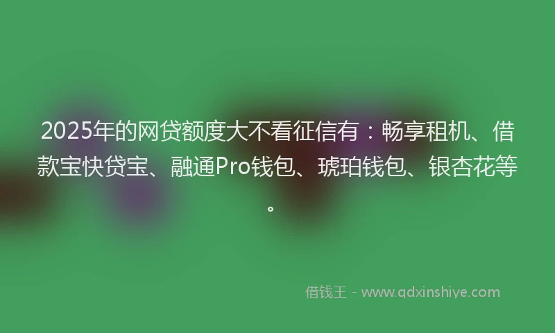 2025年的网贷额度大不看征信有：畅享租机、借款宝快贷宝、融通Pro钱包、琥珀钱包、银杏花等。