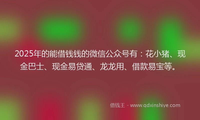 2025年的能借钱钱的微信公众号有：花小猪、现金巴士、现金易贷通、龙龙用、借款易宝等。