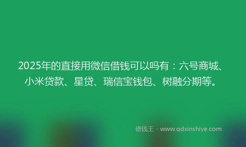 2025年的直接用微信借钱可以吗有：六号商城、小米贷款、星贷、瑞信宝钱包、树融分期等。