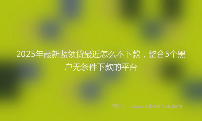 2025年最新蓝领贷最近怎么不下款，整合5个黑户无条件下款的平台